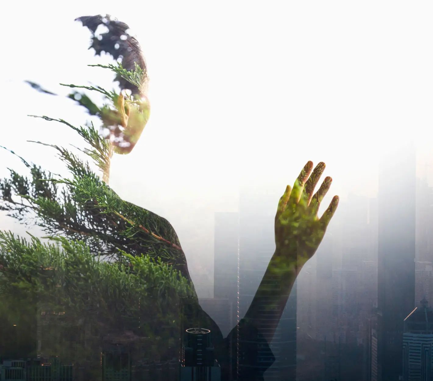 A double exposure of a person and a forest blending together.
